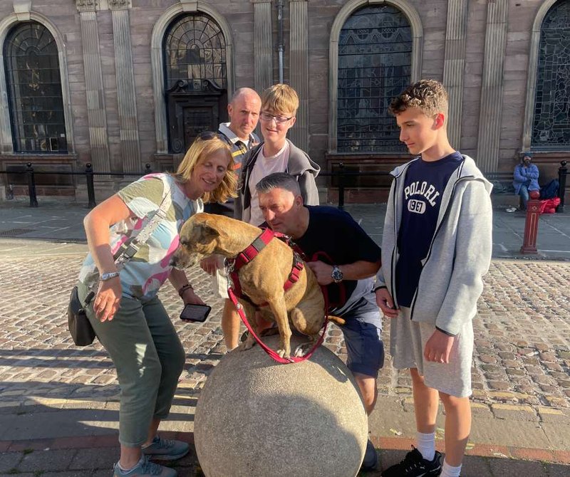 team playing race across the world the experience with a dog